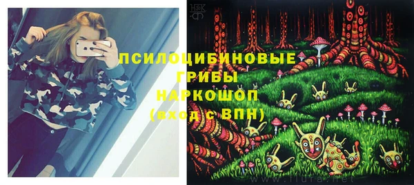 индика Алзамай
