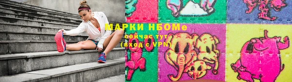 индика Алзамай