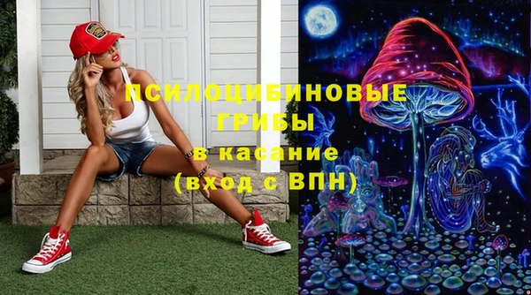 индика Алзамай